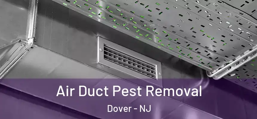  Air Duct Pest Removal Dover - NJ