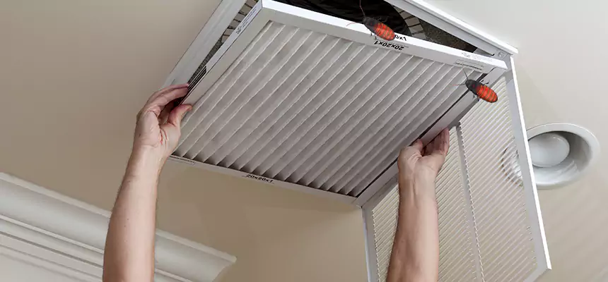Our Insect Removal from Air Ducts Services in Dover, NJ