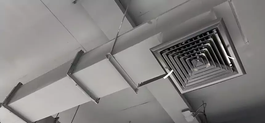 Our Rodent Droppings In Vents Services in Dover, NJ