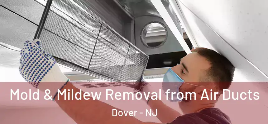  Mold & Mildew Removal from Air Ducts Dover - NJ