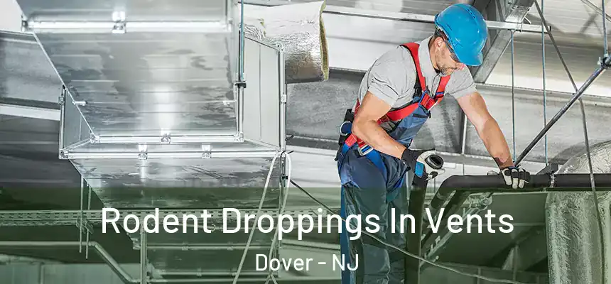  Rodent Droppings In Vents Dover - NJ