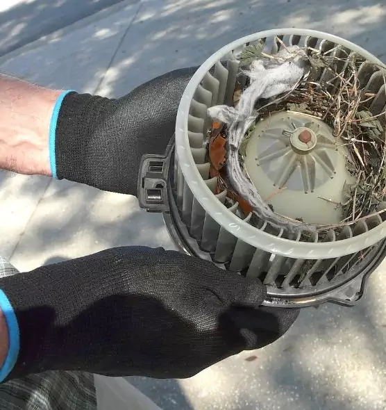 About Air Duct Rat Removal in Dover, NJ