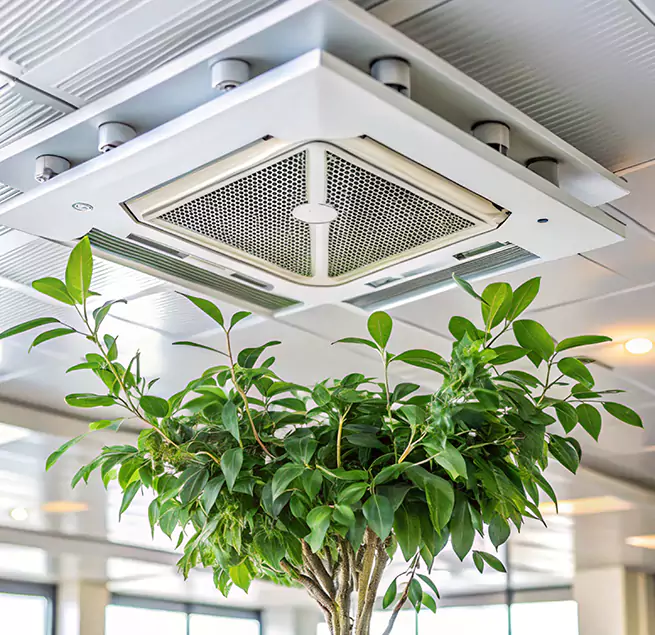 Why Homeowners & Businesses Trust Us in Dover, NJ?